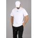 Madmext Men Back Printed White T-shirt 5365 - Beyaz